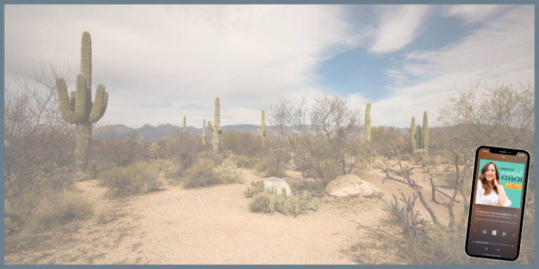 Ep 382: “I’m Just So Tired of This:” Helping Your Soul Find What It Needs in Desert Seasons