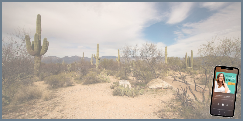 Ep 382: “I’m Just So Tired of This:” Helping Your Soul Find What It Needs in Desert Seasons